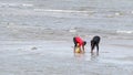 Locals collecting shellfish along the beach